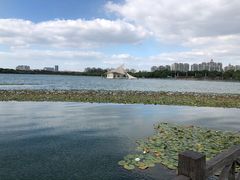 -暨阳湖生态园