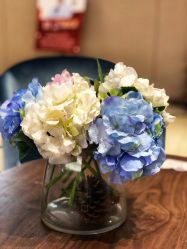 -厦门美莱整形美容医院