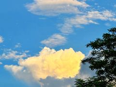 -白石龙音乐公园