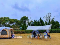 -春花秋色城市公园