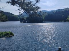 -庐山风景区花径公园