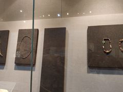 -平顶山博物馆