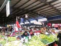 -树木岭集贸市场(劳动东路)