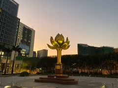 -金莲花广场