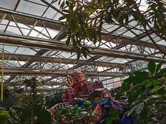 -南宫五洲植物乐园