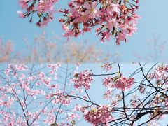 -东湖磨山景区