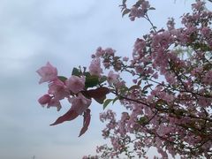 -广富林郊野公园