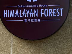 -喜马拉雅森HIMALAYAN FOREST