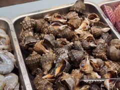 -索菲亚国际大酒店