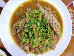 -全乐鱼馆·淳牌有机鱼直营店