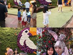 -正佳雨林生态植物园