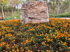 -天津东丽湖风景区