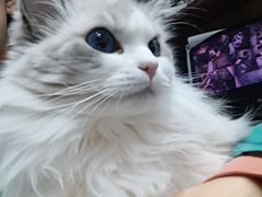 -心仪动物医院·牙专科·肿瘤·心脏科(西客站院)