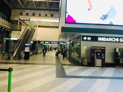 -米兰马尔彭萨国际机场