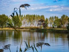 -白渔泡湿地公园