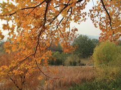 -北京植物园南门售票处