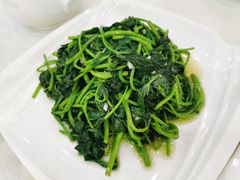蒜蓉炒番薯苗-金瑞轩大酒楼·顺德鱼生·粤菜海鲜(东江国际店)