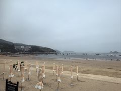 -大京沙滩
