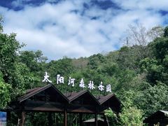 -普洱太阳河森林公园