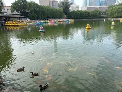 -团结湖公园