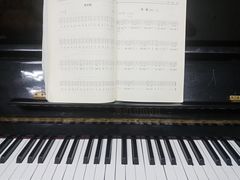 -爱乐蒙艺术·古筝 钢琴 声乐(科华校区)