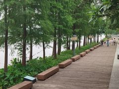 -顺峰山公园