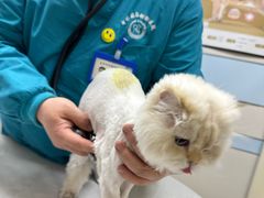 -中农国际动物医院24小时·猫科·骨科·急重症中心