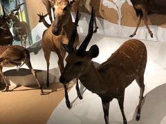 -陕西自然博物馆