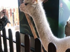 -昆明大悦城未来动物城(螺蛳湾中心店)