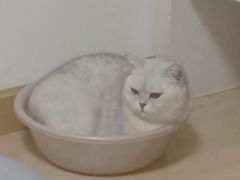 -宠福鑫动物医院(立水桥分院)