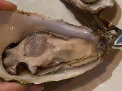 -斯普汇生蚝牛排馆(中骏世界城店)