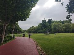 -滨湖塘西河公园