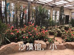 -石家庄市植物园