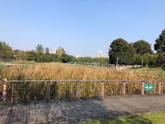 -月湖风景区