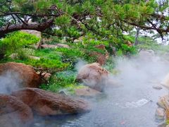 -罗红摄影艺术馆