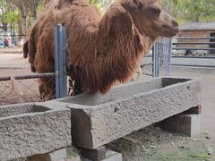 -长白岛森林公园