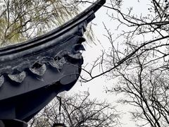 -巡塘古镇