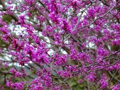 -天台山赤城山景区