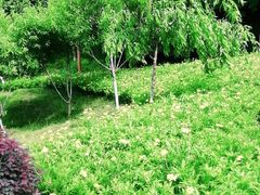 -重庆彩云湖湿地公园