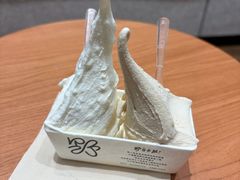 -野人先生现做冰淇淋(北京环宇荟店)