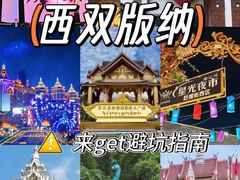 -西双版纳原始森林公园
