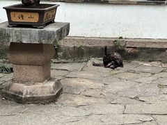 -西园戒幢律寺
