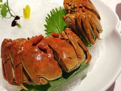 -蟹榭(静安寺晶品商场店)