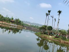 -枫香湖儿童公园