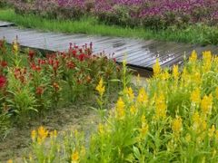 -广东花都香草世界旅游度假区