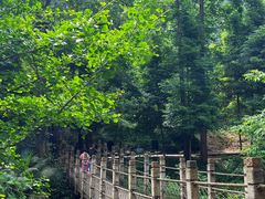 -凤栖山