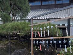 -中村藤吉(本店)