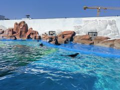 -上海海昌海洋公园