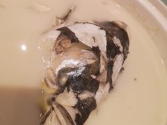 泉水珊瑚鱼头汤-小厨娘淮扬菜(清江苏宁广场店)