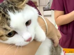 -美联众合动物医院·24h京西诊疗中心